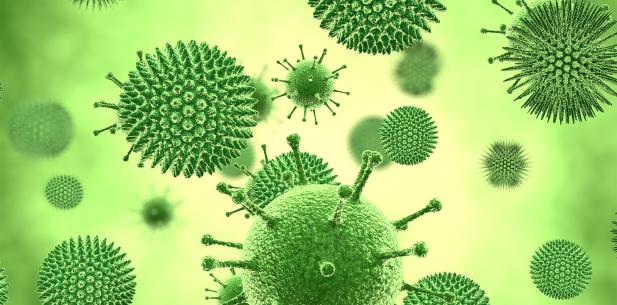 Virus en bacterie