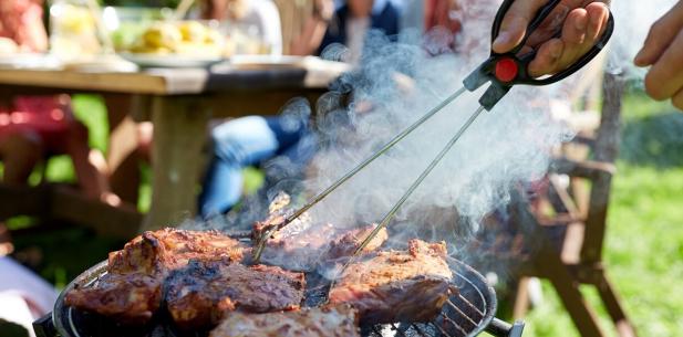 Vlees op de barbecue in tuin