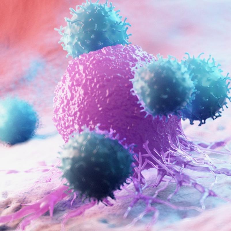 Immunotherapie waarbij T-cellen kankercel aanvallen