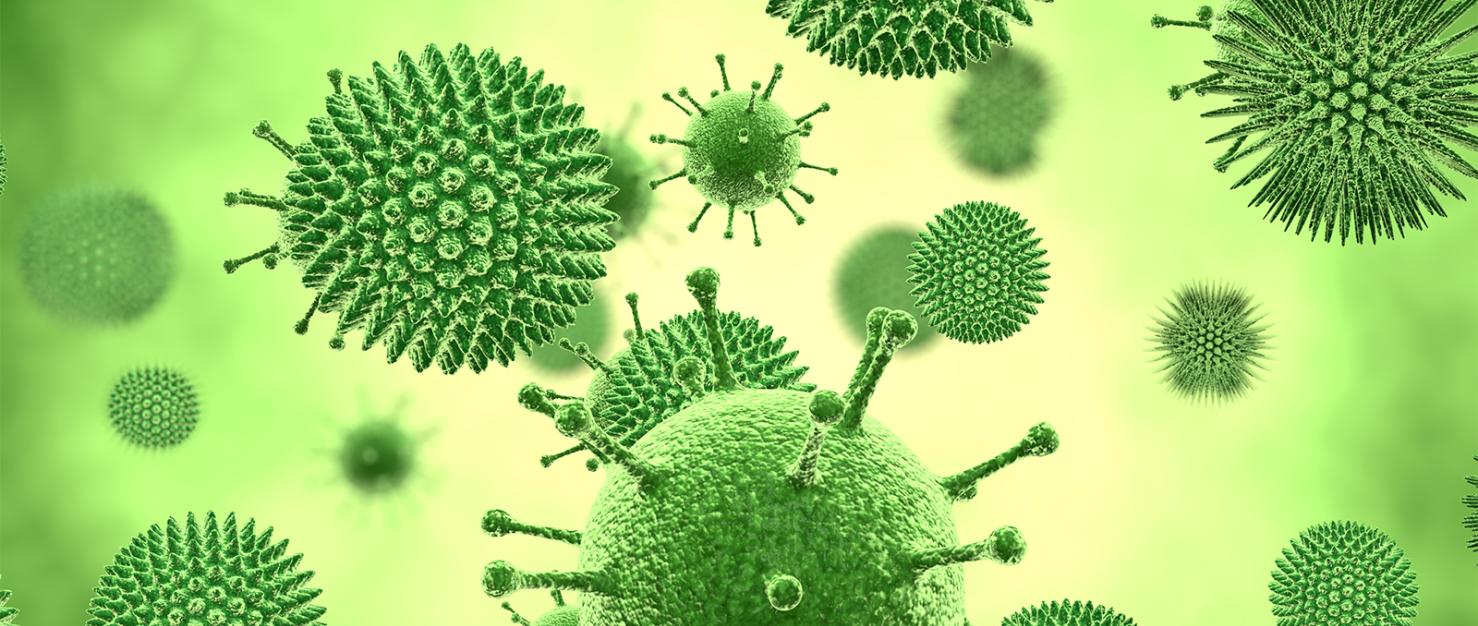 Virus en bacterie