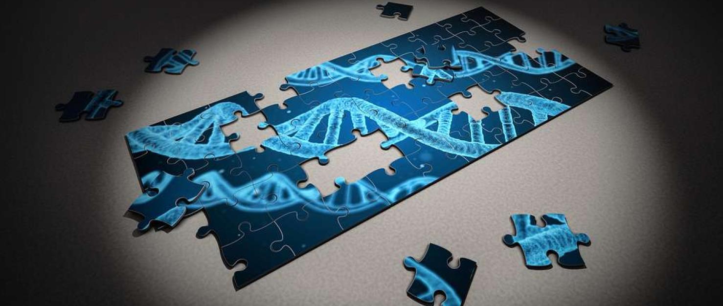 puzzelstukjes DNA