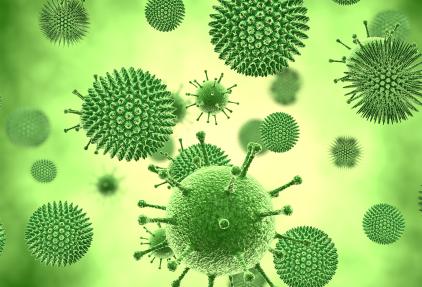 HPV: wat is het virus?